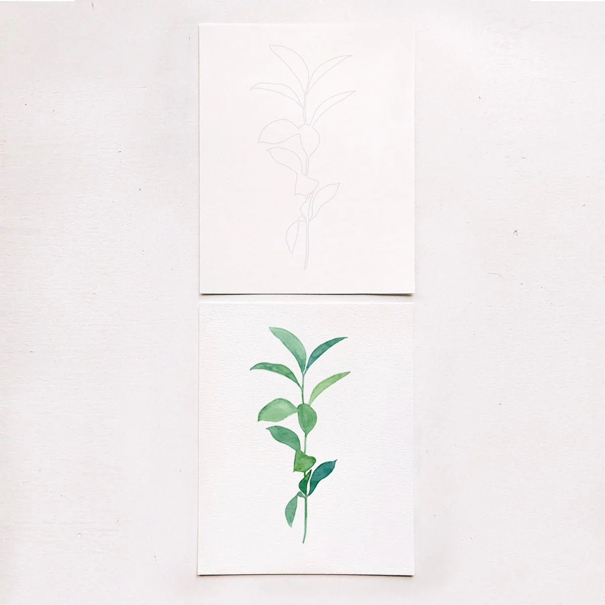 Botanical Watercolor Kit - Image 3