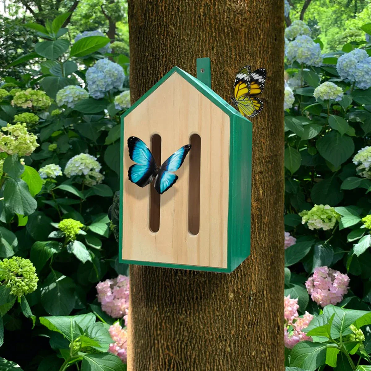 Butterfly House