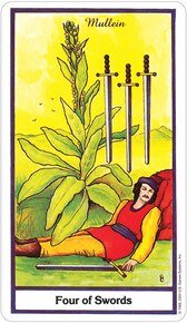 Herbal US Tarot Deck - Image 4