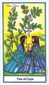 Herbal US Tarot Deck - Image 7