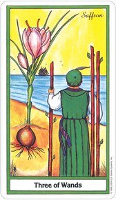 Herbal US Tarot Deck - Image 8