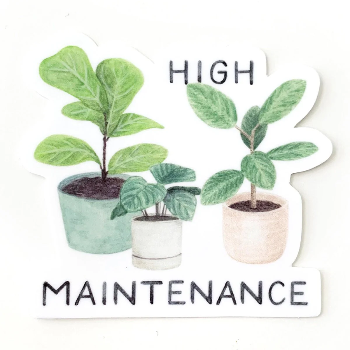 High Maintenance Plant Sticker