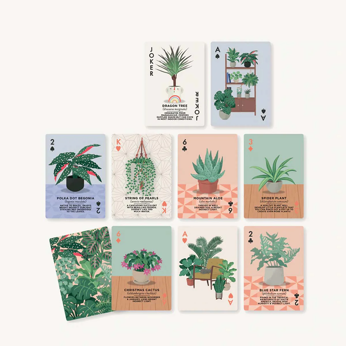 House Plants Playing Cards - Image 2