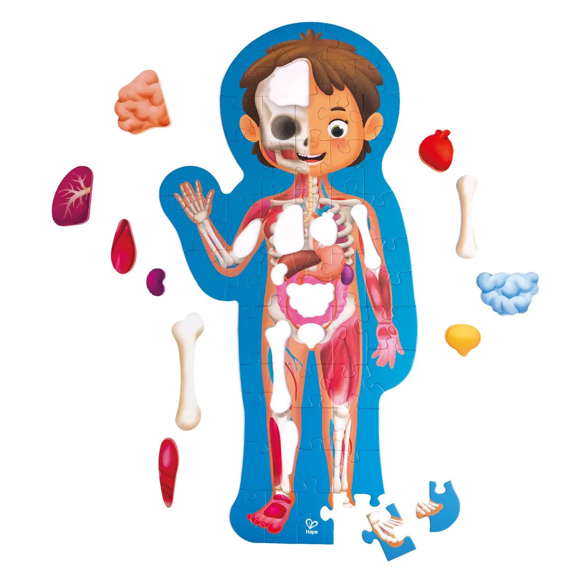 Human Body Puzzle - Image 2