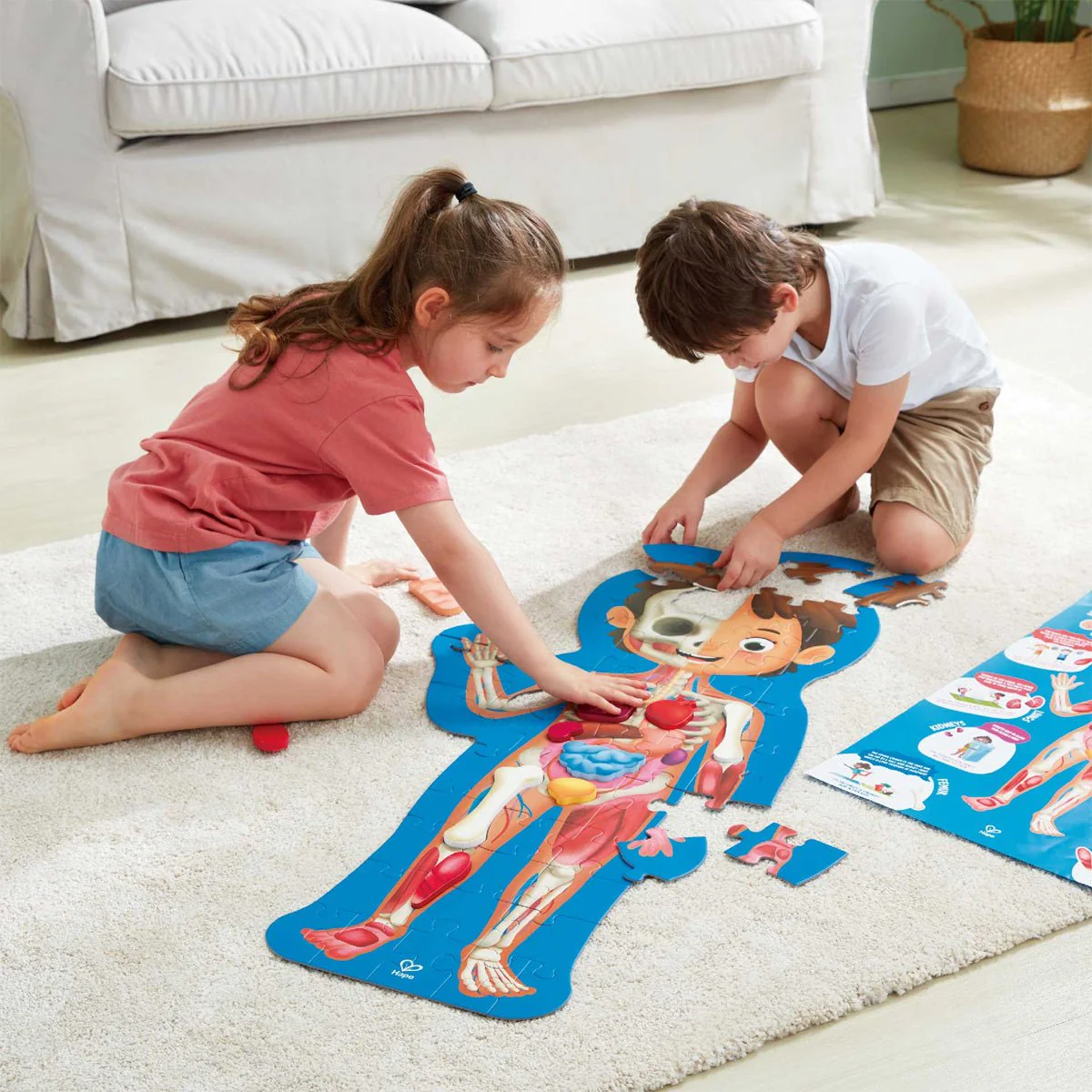 Human Body Puzzle - Image 3