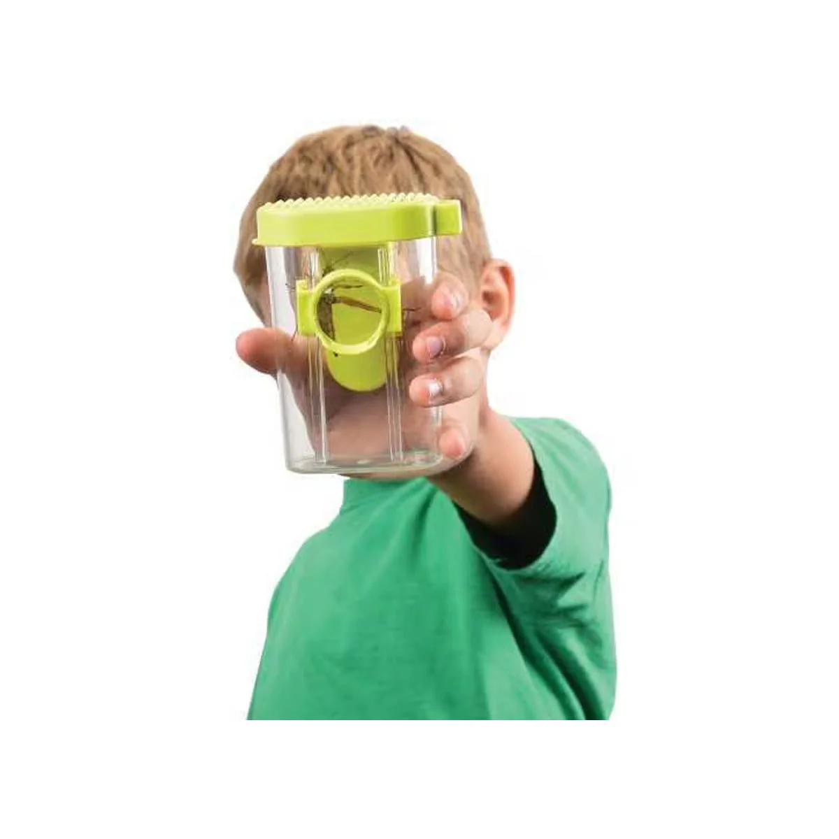 Insect Inspector - Image 2