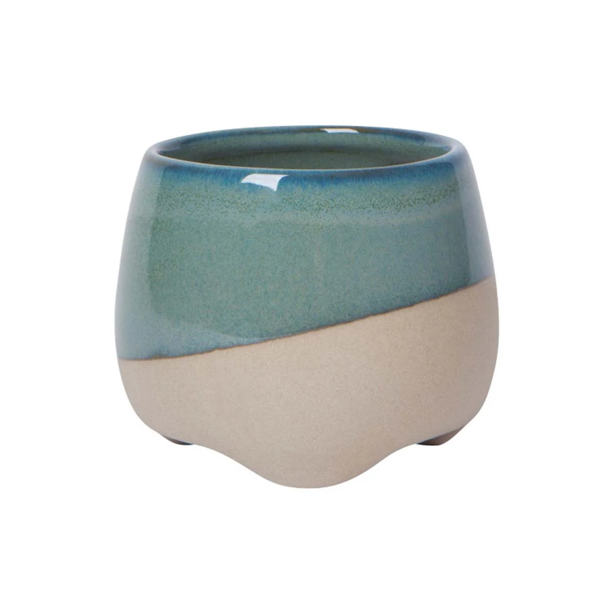 Jewel Pot Plant - Image 2