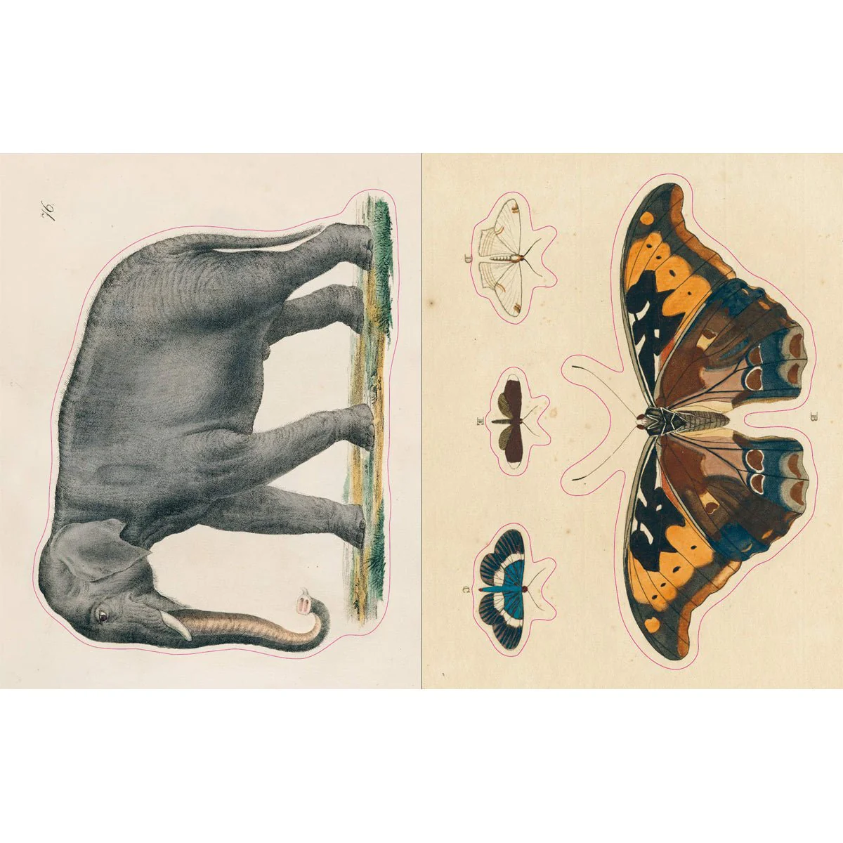 John Derian Paper Goods: Sticker Book - Image 5