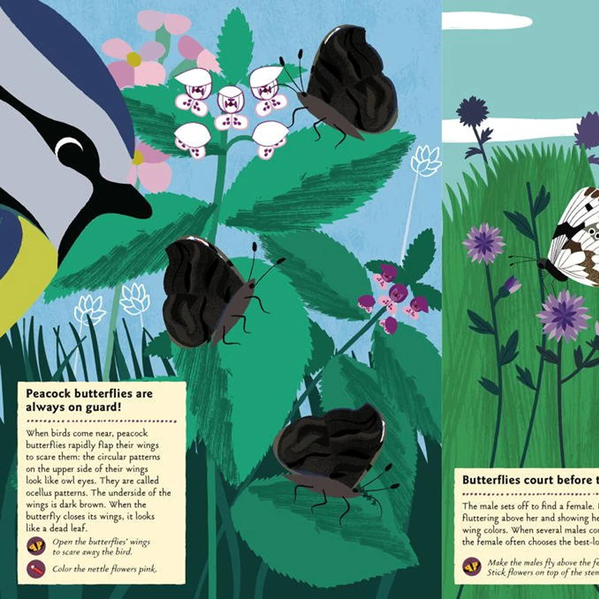 My Nature Sticker Activity Book - Image 3