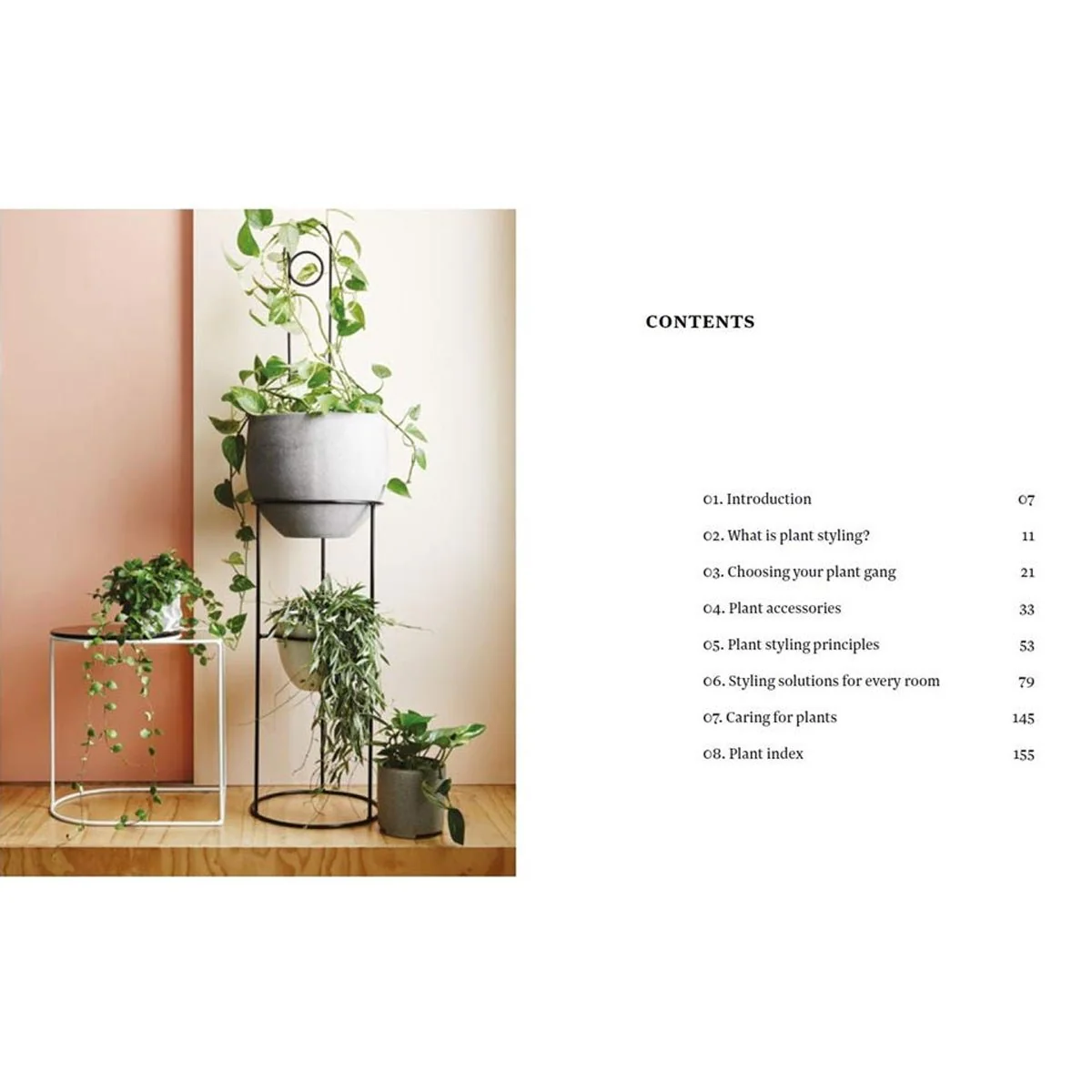Plant Style - Image 2