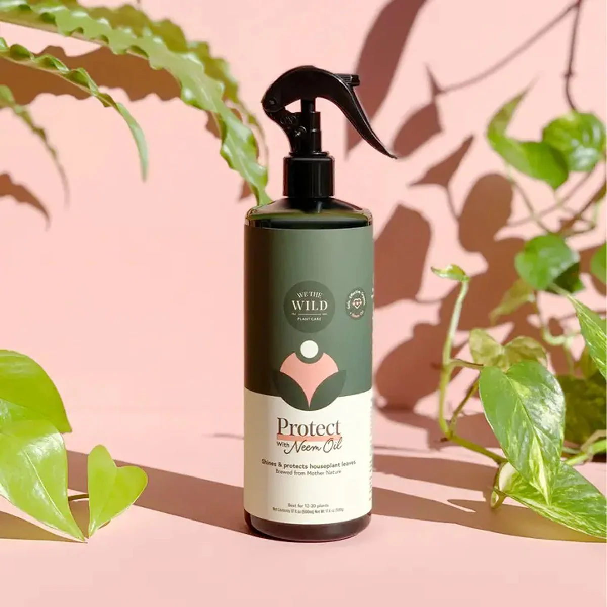 Protect Spray with Neem (17 fl oz)