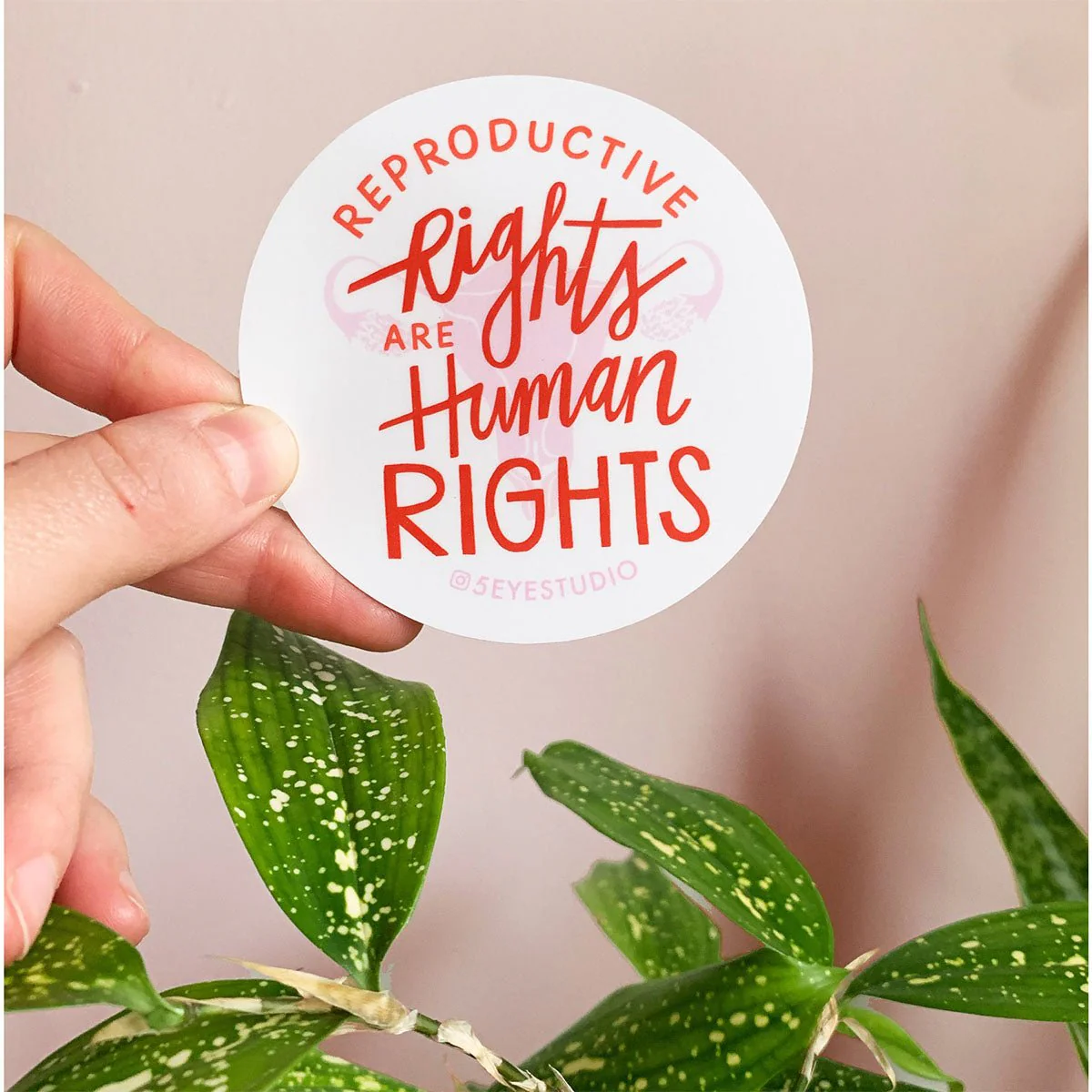 Reproductive Rights Sticker
