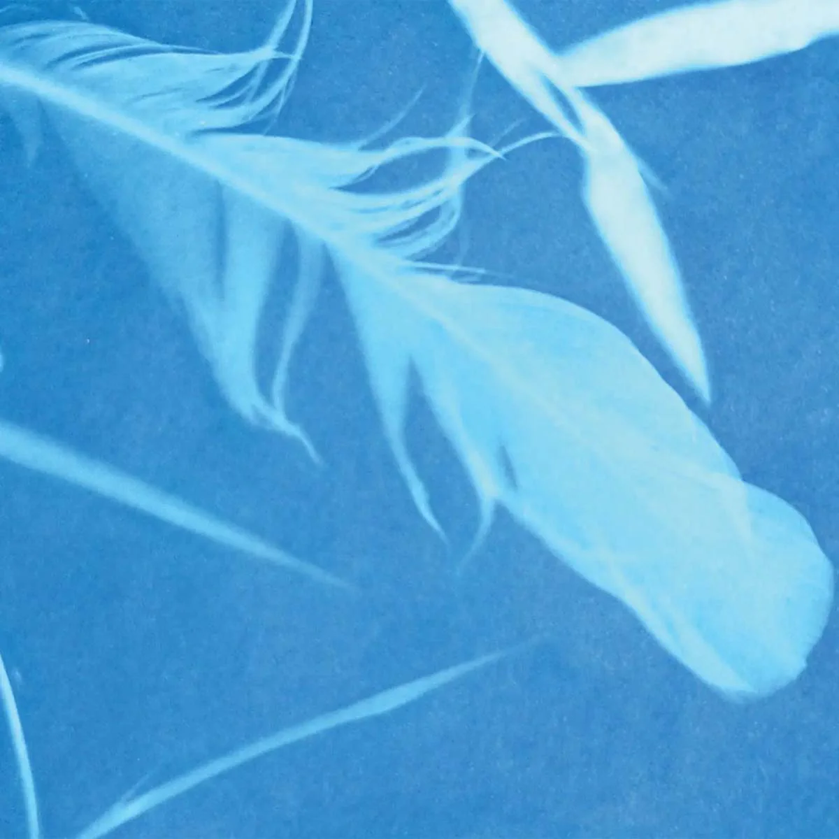 Sunprint Kit - Image 2